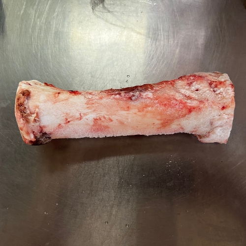 Large Beef Bone